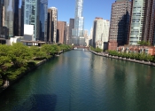 Beautiful Chicago River